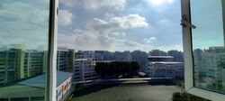 Blk 805 Woodlands Street 81 (Woodlands), HDB Executive #559730811